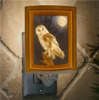 Ciao Bella Owl Porcelain Night Light