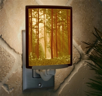 Ciao Bella Woodland Sunbeams Porcelain Night Light