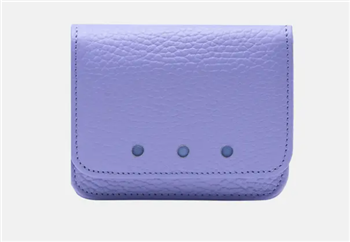 Ciao Bella  Ascot Coin & Card Case